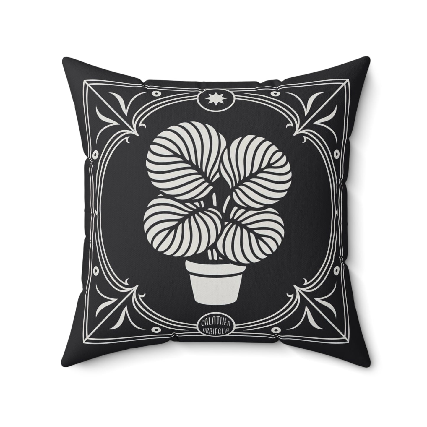 Calathea Orbifolia Faux Suede