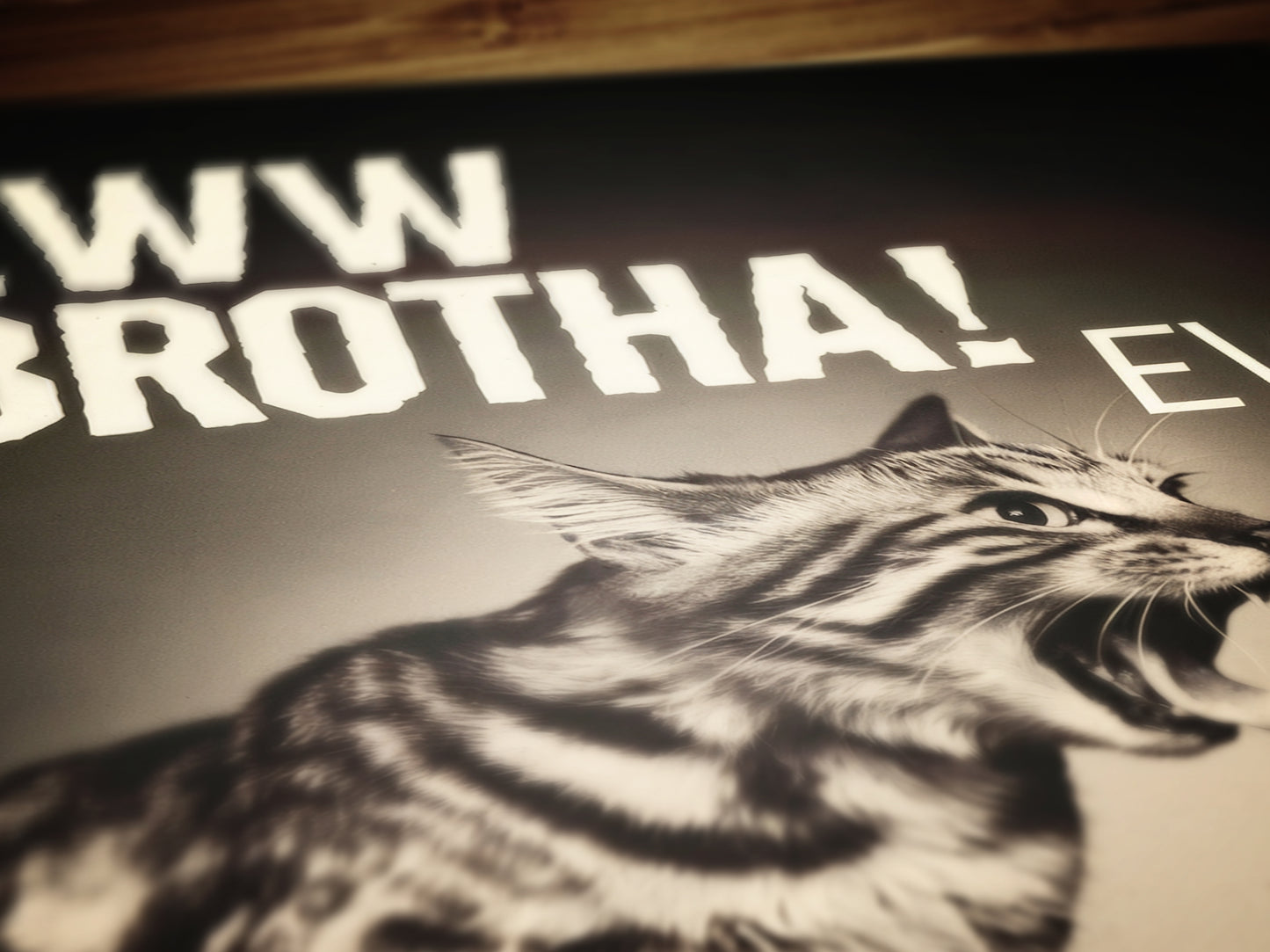 Eww Brotha! I Hate Temu, Funny Cat Hairball, Sarcastic Weird & Funny Wall Art Print, Cat Lovers Gift Wall Decor, Playful Pet Gift