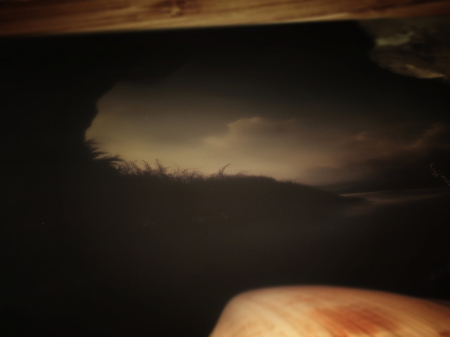 Seashells And Roses, Whimsigoth Dramatic Ocean Shell Still Life, Whimsigoth Coastal Decor, Dark Academia Wall Art for Moody Interiors