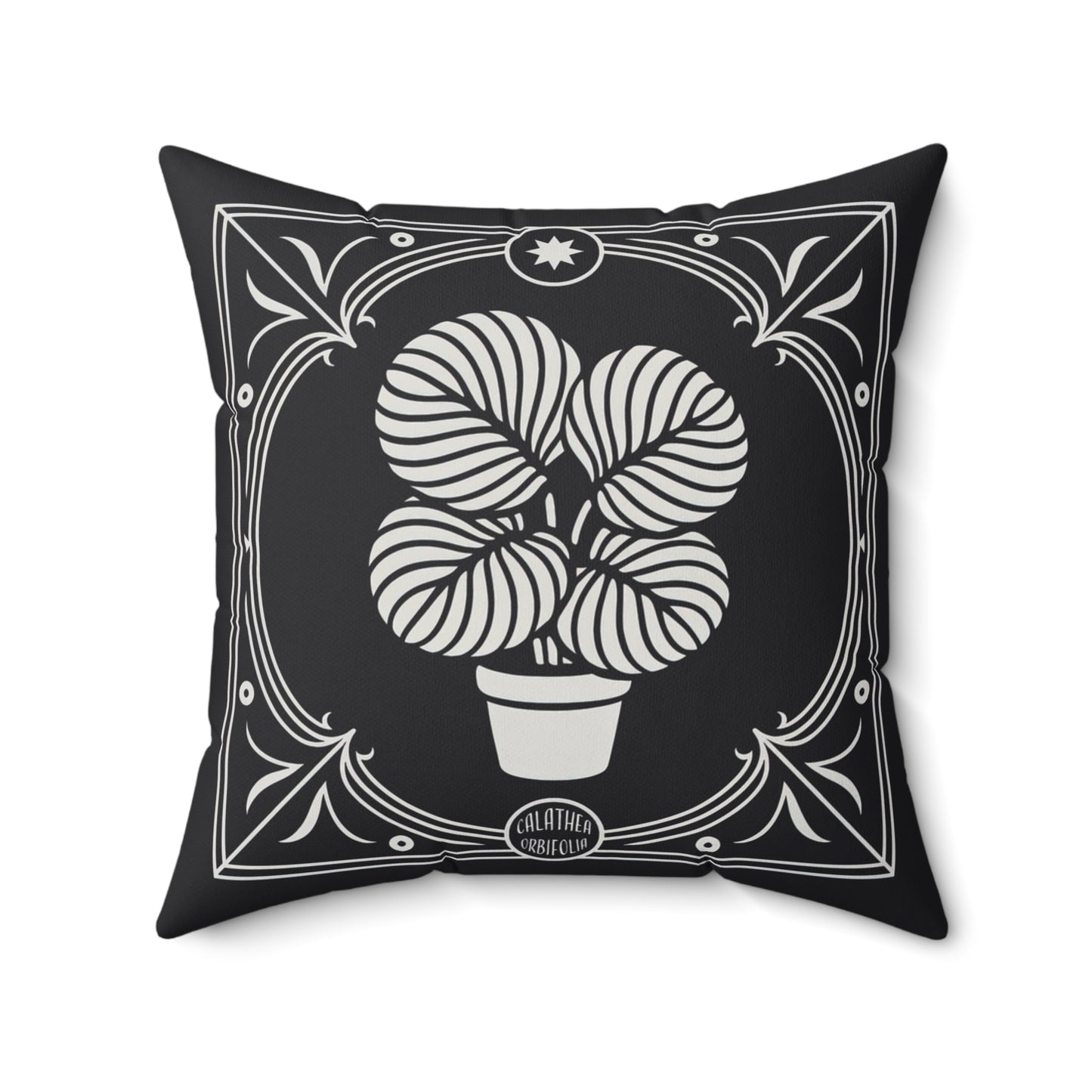 Calathea Orbifolia Faux Suede
