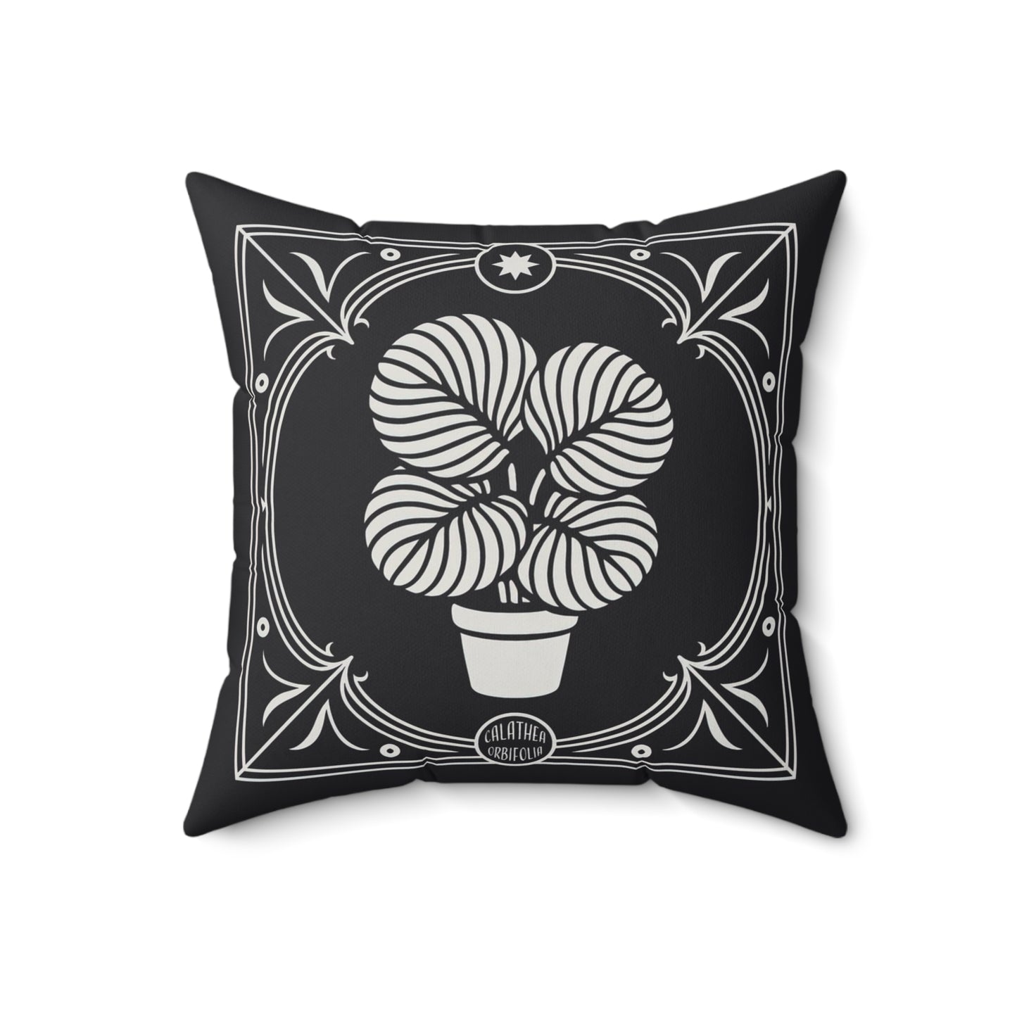 Calathea Orbifolia Faux Suede