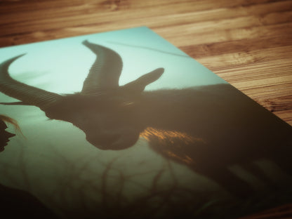 Black Phillip Wall Art, Black Goat Print, Occult Art, Dark Moody Prints, Horror Witchy Room Decor, Wiccan Goth Art, Gothic Gift