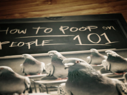 Funny Bathroom Print, Pigeon 101 How to Poop On People, Funny Toilet Wall Art, Bathroom Wall Decor, Weird Humorous Prints