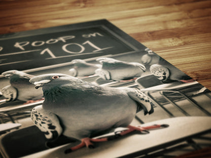 Funny Bathroom Print, Pigeon 101 How to Poop On People, Funny Toilet Wall Art, Bathroom Wall Decor, Weird Humorous Prints