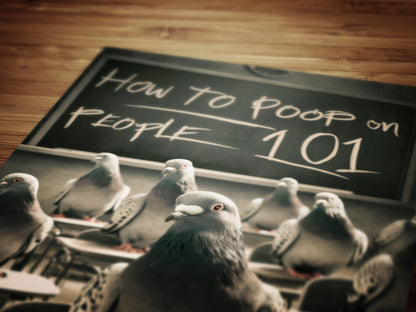 Funny Bathroom Print, Pigeon 101 How to Poop On People, Funny Toilet Wall Art, Bathroom Wall Decor, Weird Humorous Prints