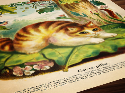 The Rare CAT-erpillar Art Print, Insects & Cat Lover Gift, Whimsighoth Animal Wall Art, Surreal Cat Poster, Quirky Decor, Weird Stuff Gift