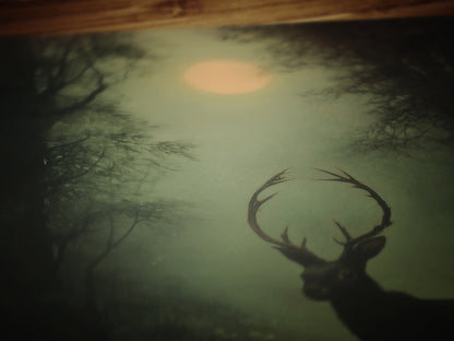 Jackalope Art Print Painting, Hare Hybrid Wall Decor, Mystical Woodland Animal Portrait, Cryptid Fairycore Wall Art