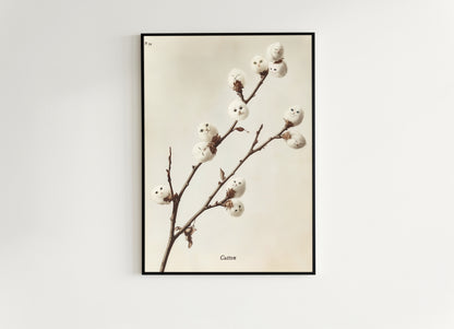 Whimsical Fluffy Cotton Cat Plant Antique Art Print Poster, Cat Lover Gift, Kitten Faces in Cotton Balls, Surreal Cottagecore Wall Decor