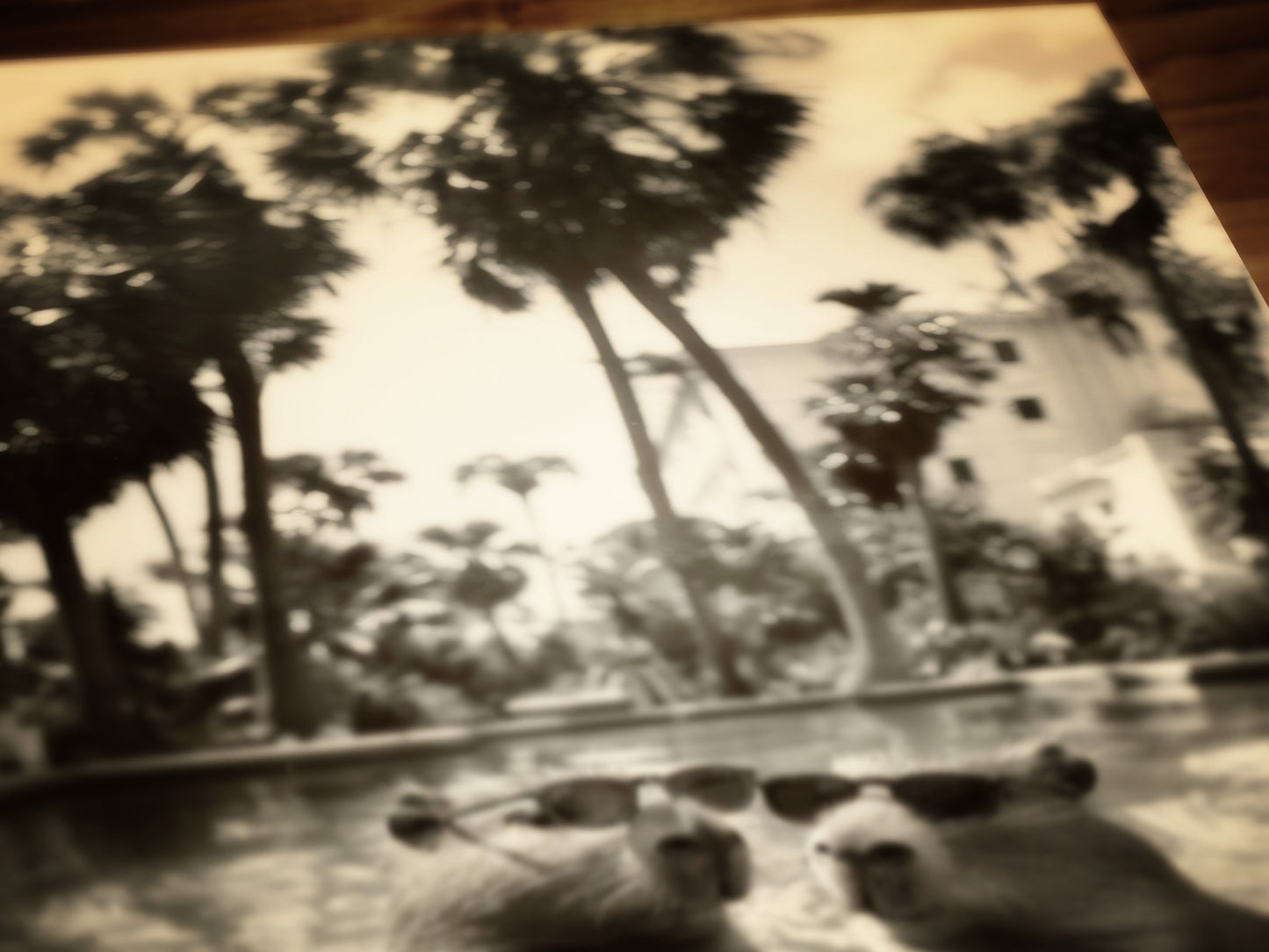 Capybara's Holiday, Capybara In A Pool, Gothic Vintage photograph, Occult Poster. Whimsy Animal Art, Dark Academia Decor