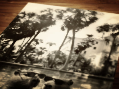 Capybara's Holiday, Capybara In A Pool, Gothic Vintage photograph, Occult Poster. Whimsy Animal Art, Dark Academia Decor