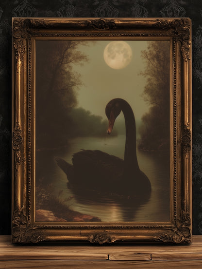 Moody Moonlit Black Swan Art Print, Romantic Wall Art, Victorian Bird, Whimsigoth Nature Wall Decor, Vintage Gloomy Gothic Poster
