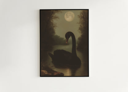 Moody Moonlit Black Swan Art Print, Romantic Wall Art, Victorian Bird, Whimsigoth Nature Wall Decor, Vintage Gloomy Gothic Poster