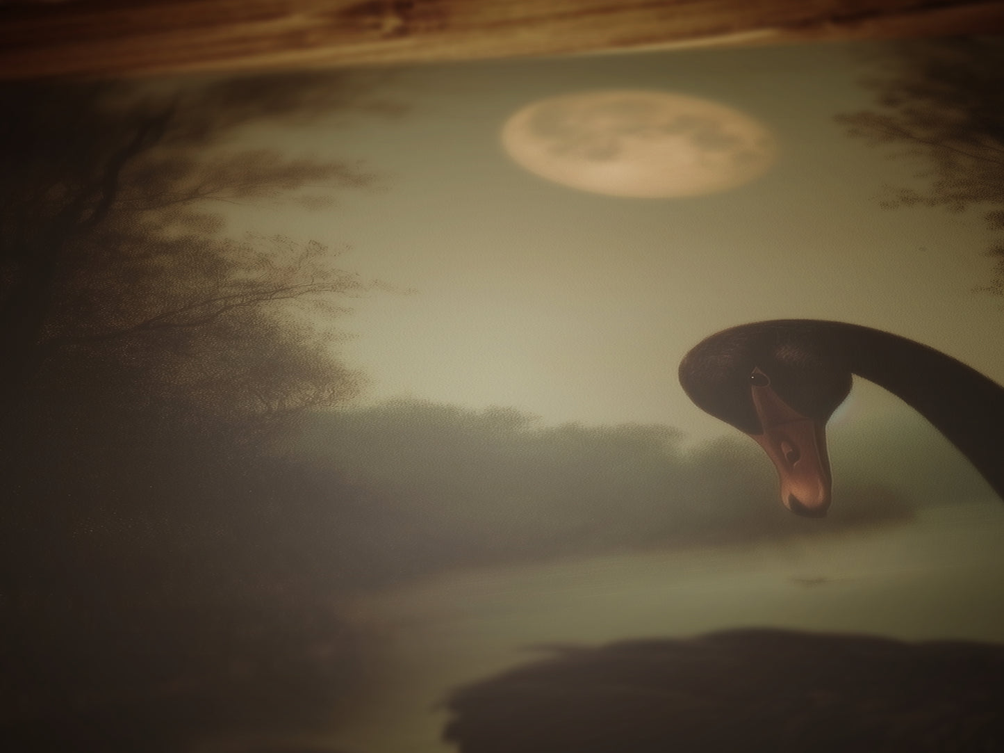 Moody Moonlit Black Swan Art Print, Romantic Wall Art, Victorian Bird, Whimsigoth Nature Wall Decor, Vintage Gloomy Gothic Poster