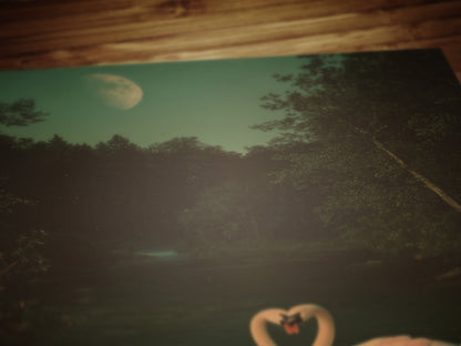 The Swans Waltz, Romantic Wall Art, Victorian Bird, Whimsigoth Nature Wall Decor, Vintage Gloomy Gothic Poster, Soft Academia Art Print