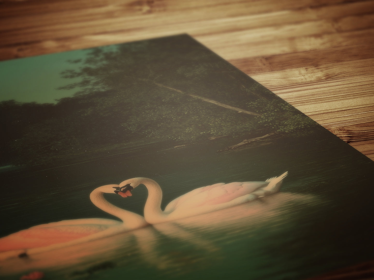 The Swans Waltz, Romantic Wall Art, Victorian Bird, Whimsigoth Nature Wall Decor, Vintage Gloomy Gothic Poster, Soft Academia Art Print