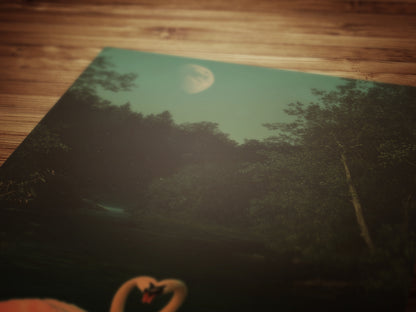 The Swans Waltz, Romantic Wall Art, Victorian Bird, Whimsigoth Nature Wall Decor, Vintage Gloomy Gothic Poster, Soft Academia Art Print