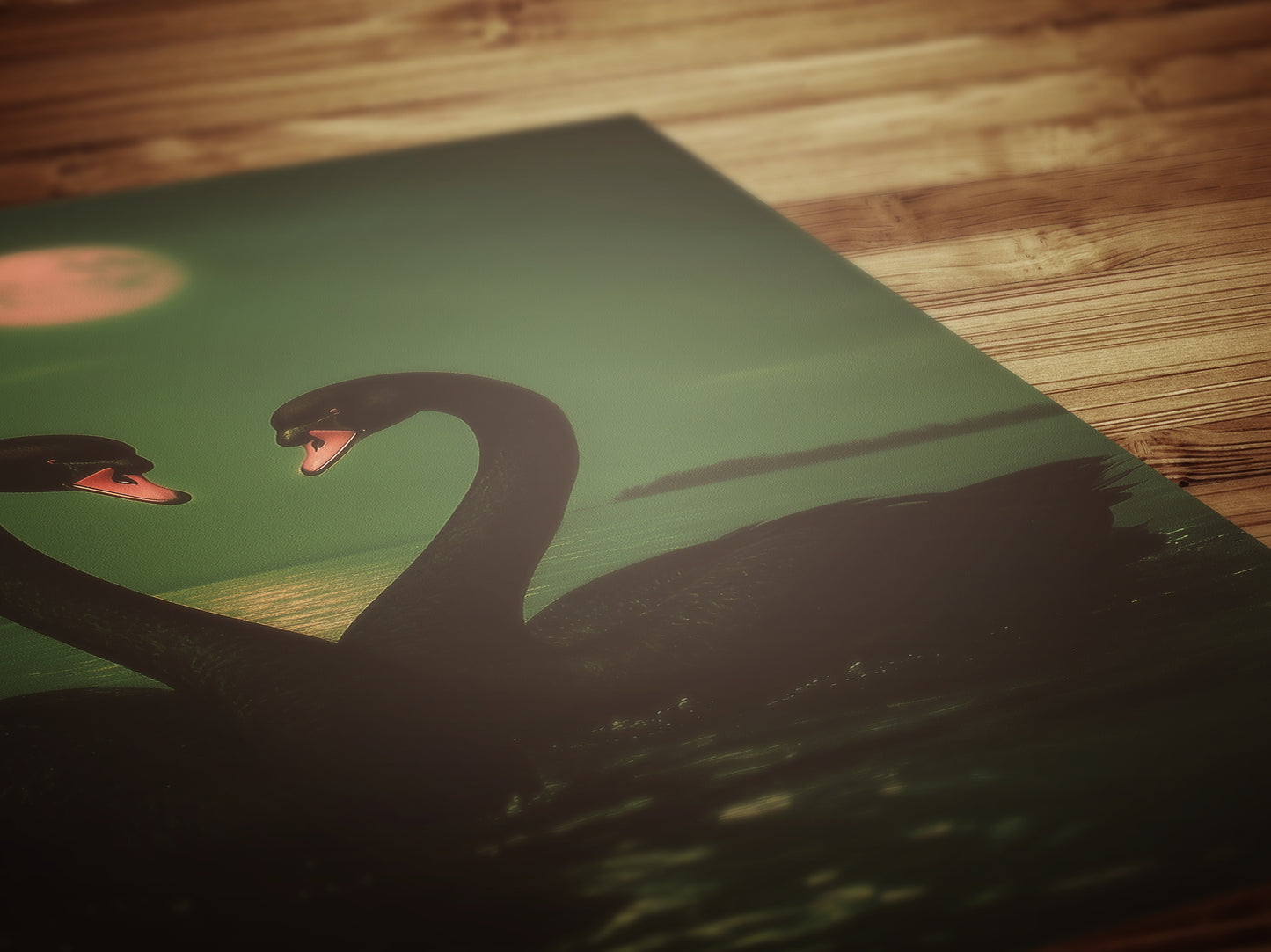 Romantic Black Swan Pair in Moonlight Art Print, Gothic Whimsigoth Wall Decor, Victorian Birds, Vintage Soft Academia Gloomy Gothic Poster