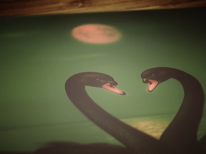 Romantic Black Swan Pair in Moonlight Art Print, Gothic Whimsigoth Wall Decor, Victorian Birds, Vintage Soft Academia Gloomy Gothic Poster
