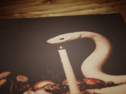 White Snake Painting, Memento Mori, Dark Academia Forest Wall Art, Whimsigoth Decor, Dark Cottagecore Decor, Spooky Wall Art Painting