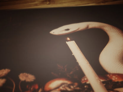 White Snake Painting, Memento Mori, Dark Academia Forest Wall Art, Whimsigoth Decor, Dark Cottagecore Decor, Spooky Wall Art Painting