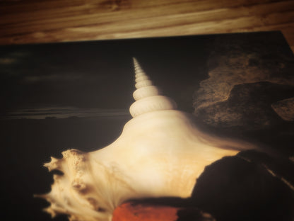 Conch And Seashells, Dramatic Ocean Shell Still Life, Whimsigoth Coastal Decor, Dark Academia Wall Art for Moody Interiors