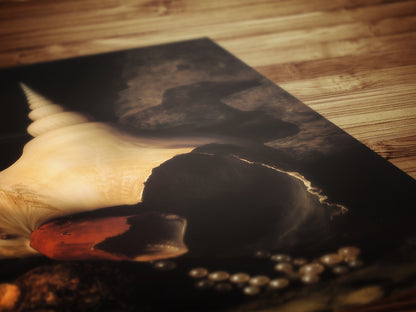 Conch And Seashells, Dramatic Ocean Shell Still Life, Whimsigoth Coastal Decor, Dark Academia Wall Art for Moody Interiors