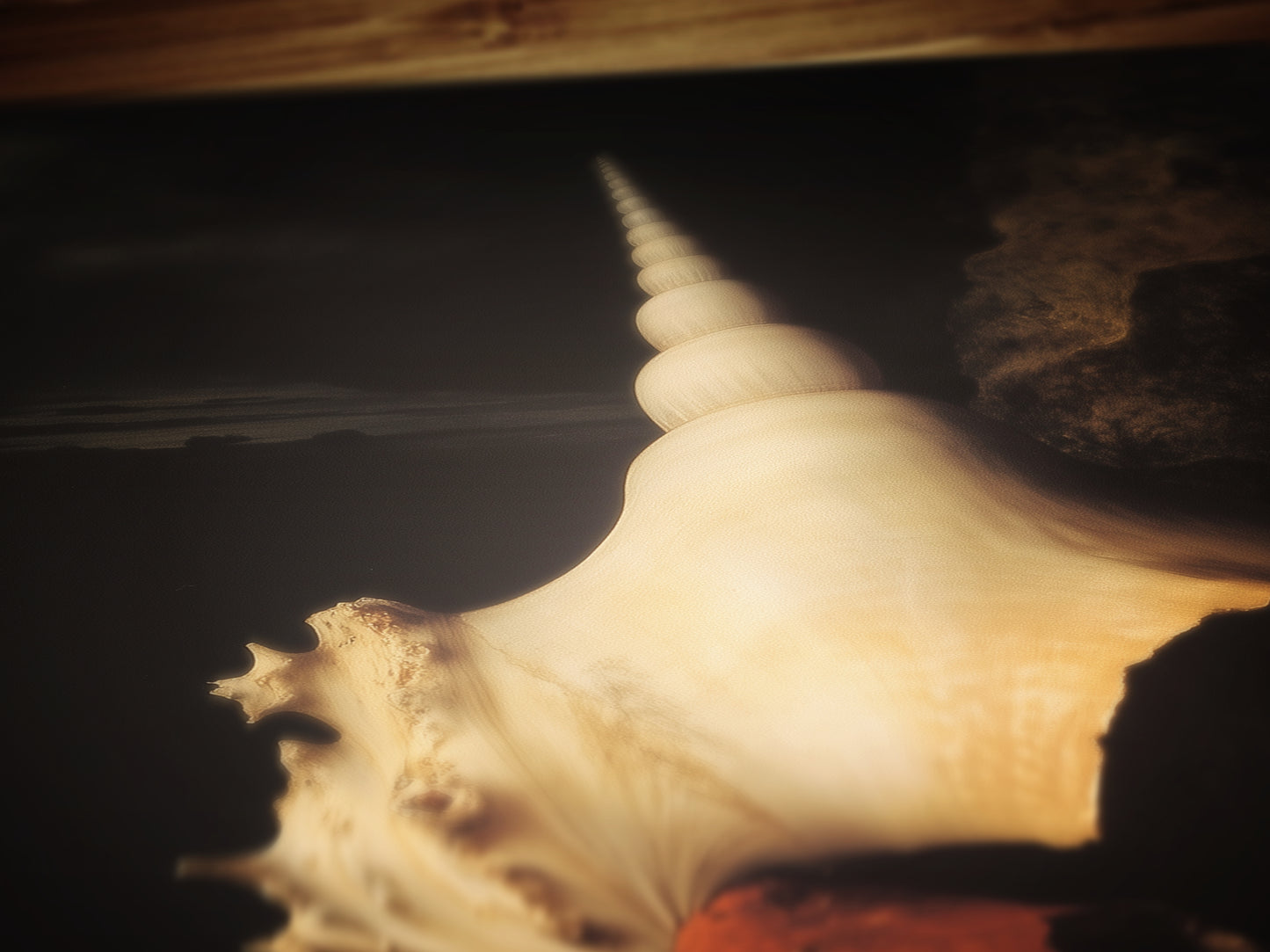 Conch And Seashells, Dramatic Ocean Shell Still Life, Whimsigoth Coastal Decor, Dark Academia Wall Art for Moody Interiors