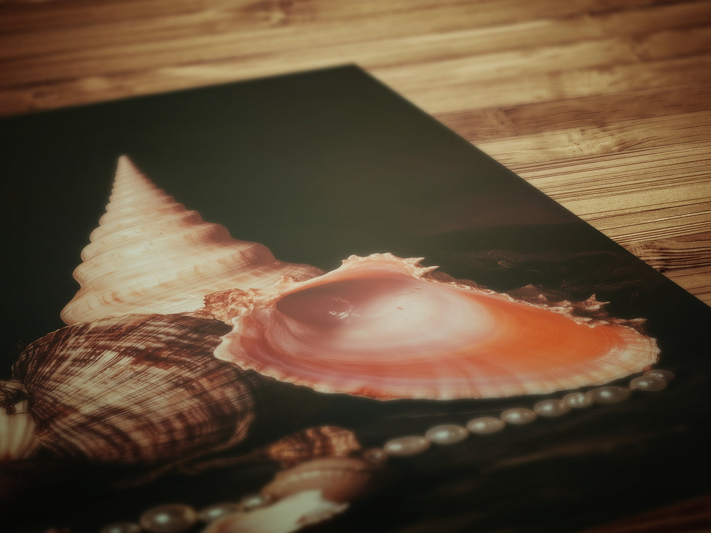 Seashells And Pearls, Dramatic Ocean Shell Still Life, Whimsigoth Coastal Decor, Dark Academia Wall Art for Moody Interiors