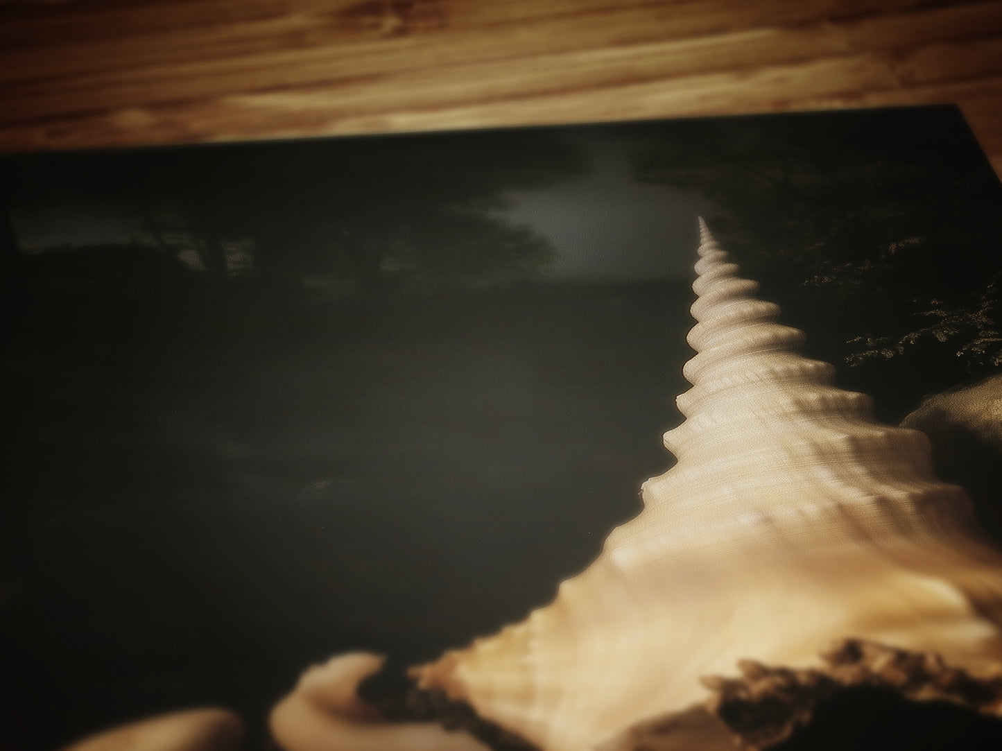 Seashells And Pearls, Whimsigoth Dramatic Ocean Shell Still Life, Whimsigoth Coastal Decor, Dark Academia Wall Art for Moody Interiors