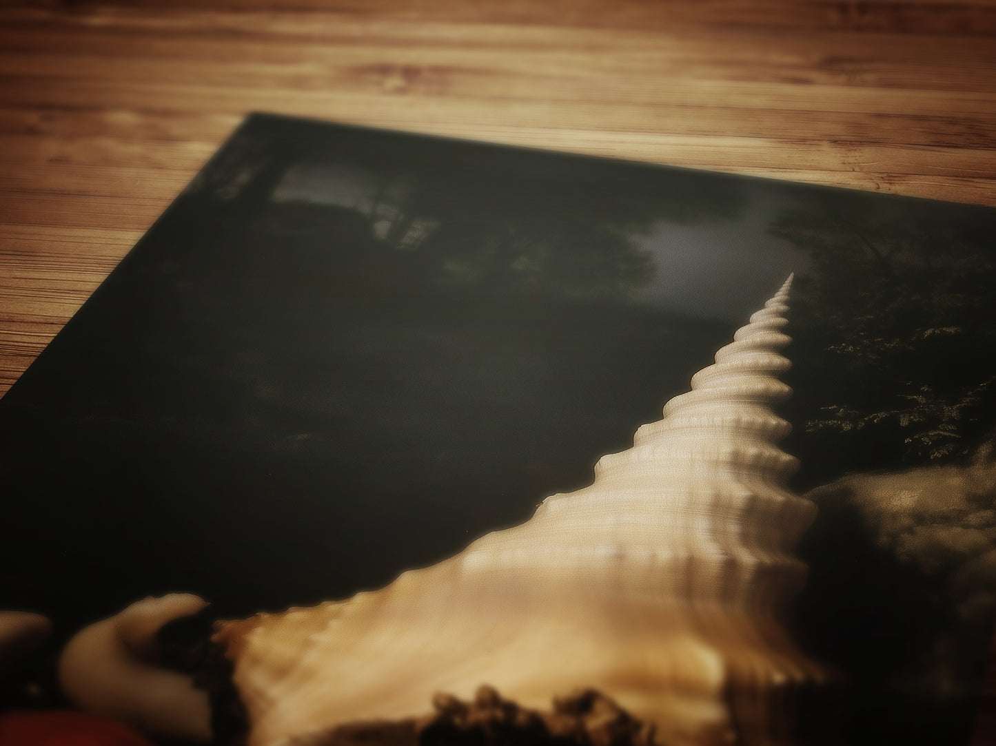 Seashells And Pearls, Whimsigoth Dramatic Ocean Shell Still Life, Whimsigoth Coastal Decor, Dark Academia Wall Art for Moody Interiors