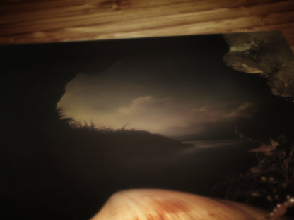 Seashells And Roses, Whimsigoth Dramatic Ocean Shell Still Life, Whimsigoth Coastal Decor, Dark Academia Wall Art for Moody Interiors