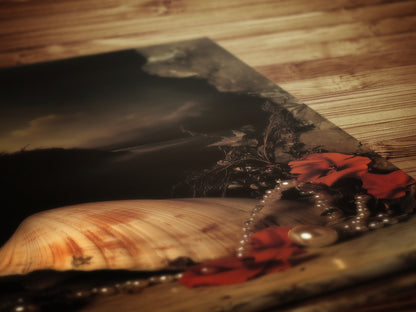 Seashells And Roses, Whimsigoth Dramatic Ocean Shell Still Life, Whimsigoth Coastal Decor, Dark Academia Wall Art for Moody Interiors