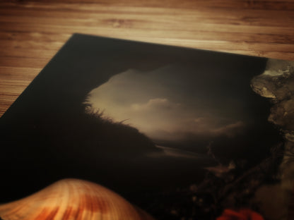 Seashells And Roses, Whimsigoth Dramatic Ocean Shell Still Life, Whimsigoth Coastal Decor, Dark Academia Wall Art for Moody Interiors