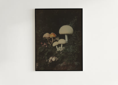 Mushroom Floral Art Print, Dark Moody Botanical Still Life, Gothic Cottagecore Wall Decor, Witchy Whimsigoth Goblincore Gift for Her