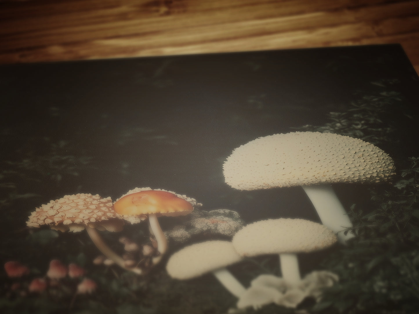 Mushroom Floral Art Print, Dark Moody Botanical Still Life, Gothic Cottagecore Wall Decor, Witchy Whimsigoth Goblincore Gift for Her