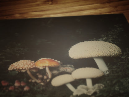 Mushroom Floral Art Print, Dark Moody Botanical Still Life, Gothic Cottagecore Wall Decor, Witchy Whimsigoth Goblincore Gift for Her