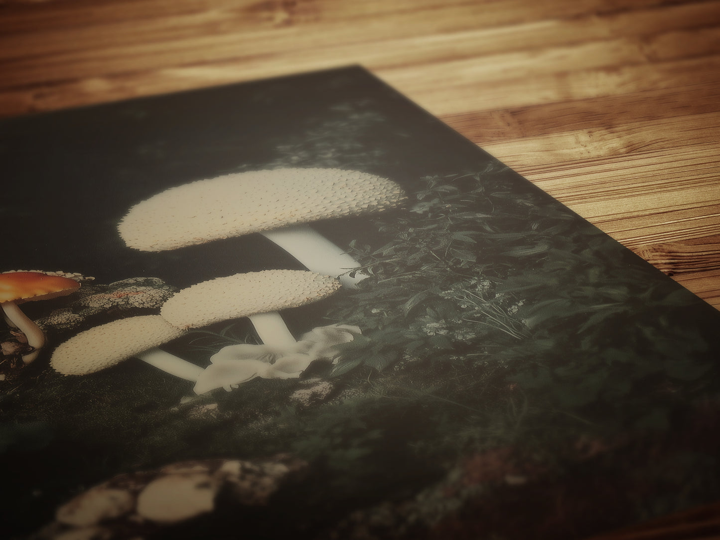 Mushroom Floral Art Print, Dark Moody Botanical Still Life, Gothic Cottagecore Wall Decor, Witchy Whimsigoth Goblincore Gift for Her