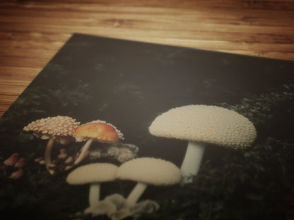 Mushroom Floral Art Print, Dark Moody Botanical Still Life, Gothic Cottagecore Wall Decor, Witchy Whimsigoth Goblincore Gift for Her