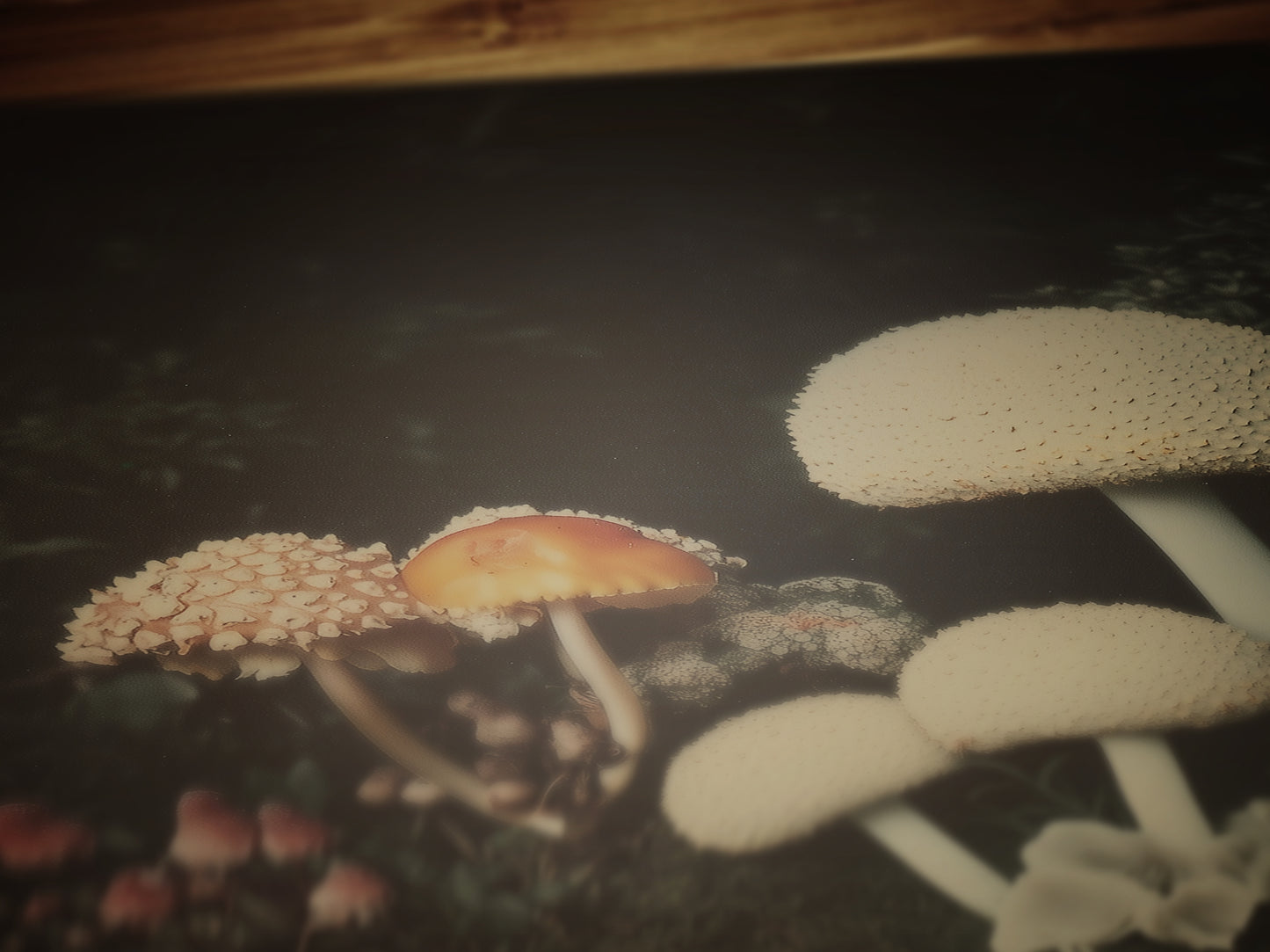 Mushroom Floral Art Print, Dark Moody Botanical Still Life, Gothic Cottagecore Wall Decor, Witchy Whimsigoth Goblincore Gift for Her