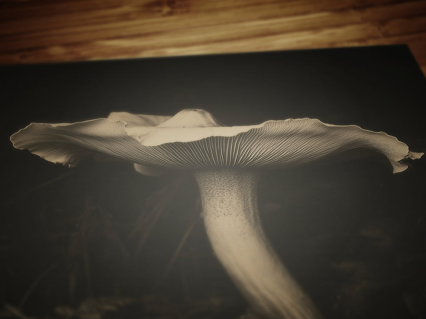 White Mushroom Floral Art Print, Moody Botanical Still Life, Gothic Cottagecore Wall Decor, Witchy Whimsigoth Goblincore Gift for Her