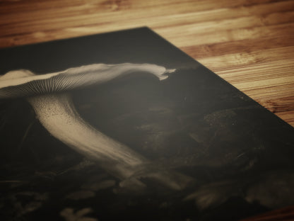 White Mushroom Floral Art Print, Moody Botanical Still Life, Gothic Cottagecore Wall Decor, Witchy Whimsigoth Goblincore Gift for Her