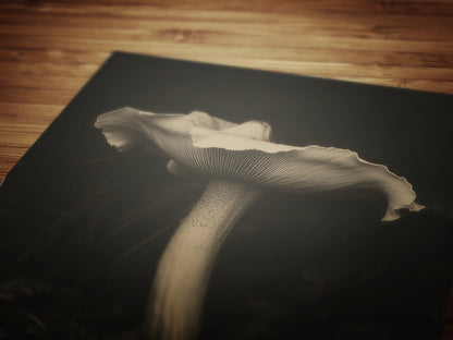 White Mushroom Floral Art Print, Moody Botanical Still Life, Gothic Cottagecore Wall Decor, Witchy Whimsigoth Goblincore Gift for Her