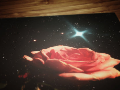 Celestial Rose Wall Art Poster, 90s Whimsigoth Decor, Whimsical Celestial Magical Home Decor, Sun Moon Poster, Cosy Witchy Print