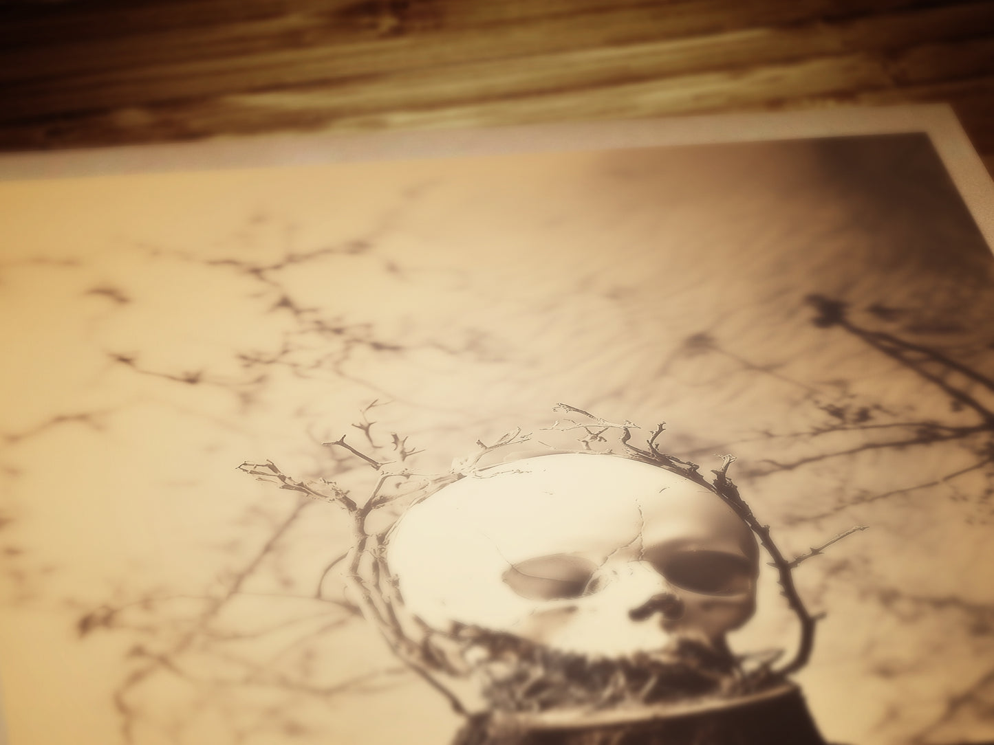 Memento Mori Art Print, Vintage Skull Wall Art, Vanitas Skull and Flowers Poster, Gothic Home Decor, Victorian Botanical Macarbre Postcard