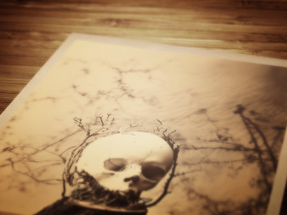 Memento Mori Art Print, Vintage Skull Wall Art, Vanitas Skull and Flowers Poster, Gothic Home Decor, Victorian Botanical Macarbre Postcard