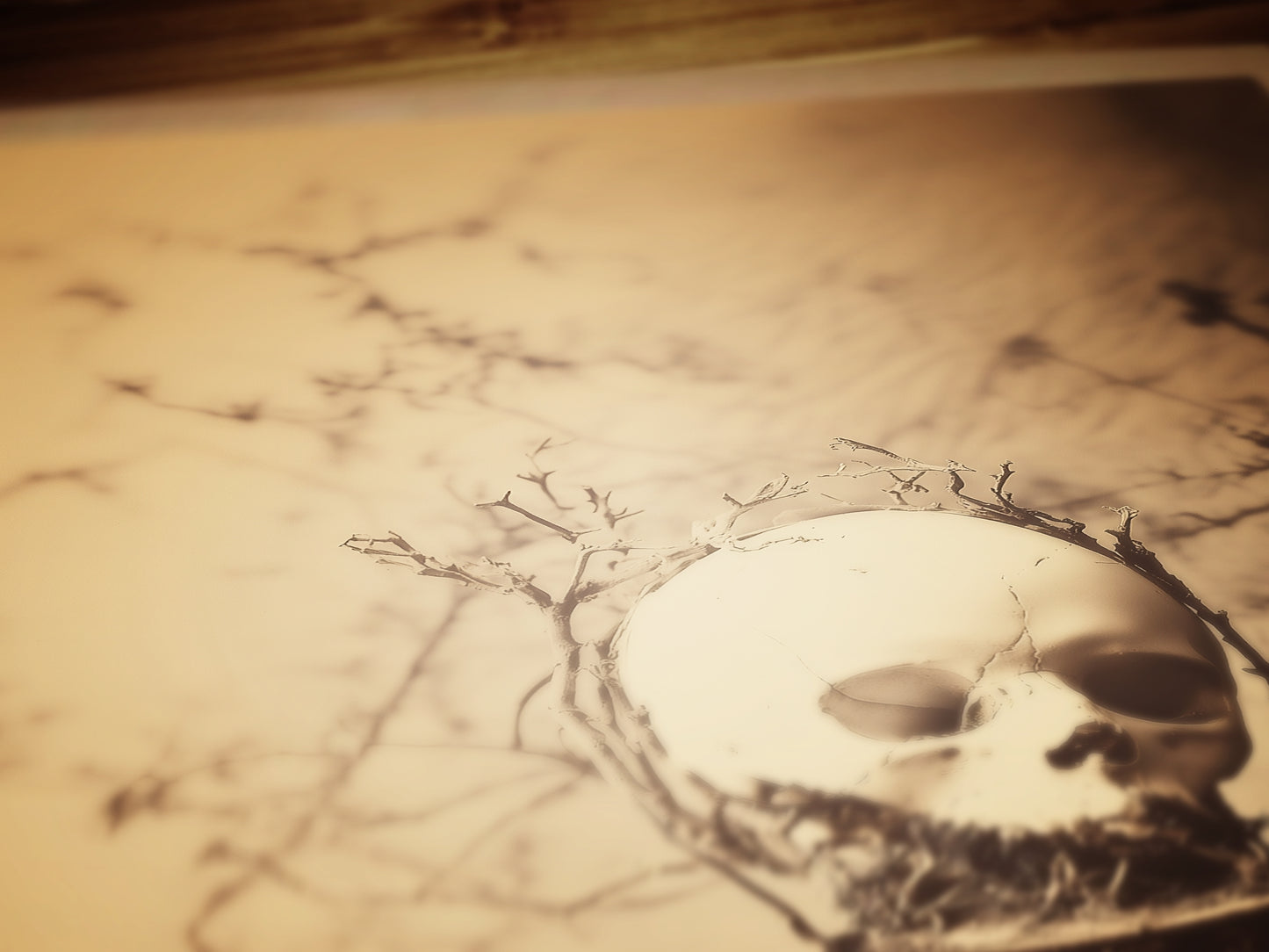 Memento Mori Art Print, Vintage Skull Wall Art, Vanitas Skull and Flowers Poster, Gothic Home Decor, Victorian Botanical Macarbre Postcard