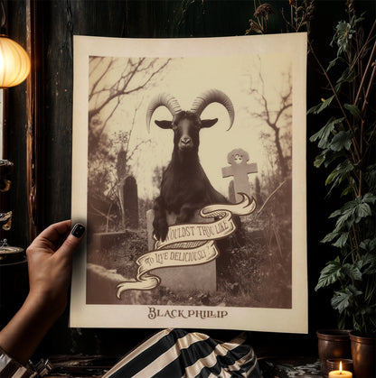 Black Phillip Wall Art, Black Goat Print, Occult Art, Dark Moody Prints, Cottagecore, Witchy Room Decor, Wiccan, Goth Art, Gothic Gift