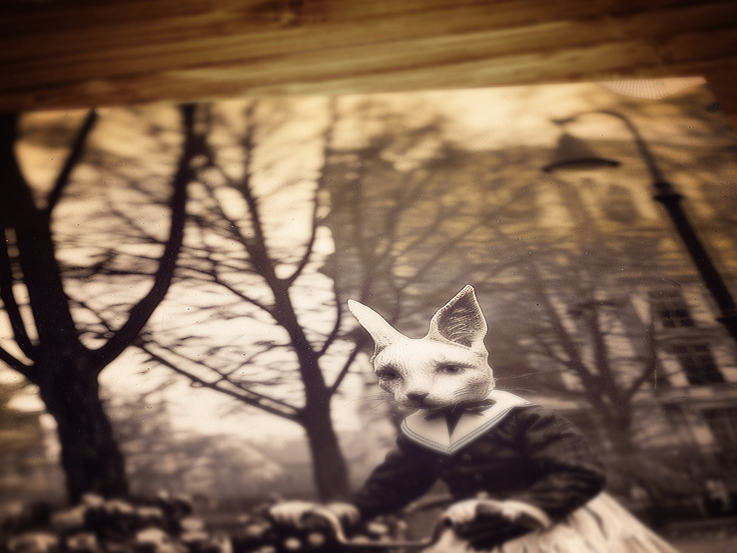 Gothic Fox On A Bike, Victorian Vintage photography, Weird Spooky Art Print, Occult Poster. Odd & Creepy, Dark Academia Decor