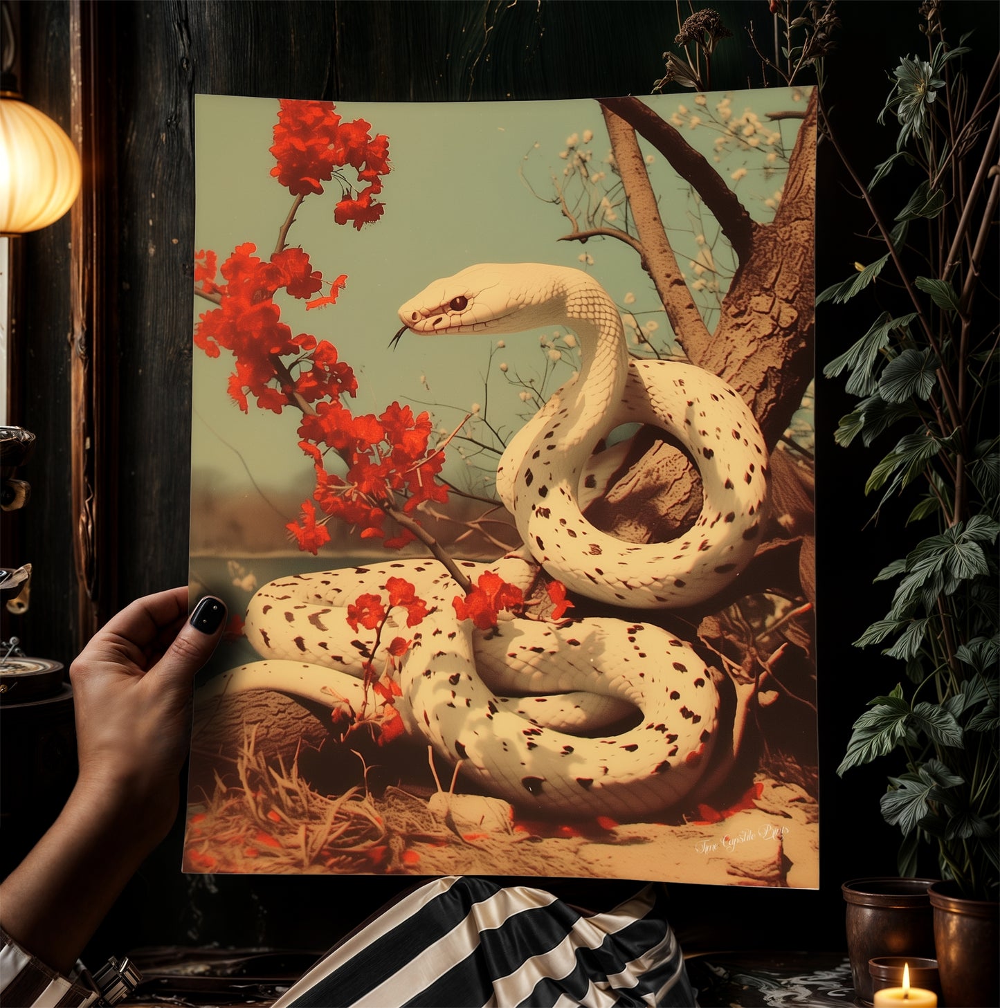 Vintage White Snake Wall Art Print, Albino Serpent Python Poster with Floral Accents, Gothic Dark Academia Aesthetic Room Decor, 新年快乐