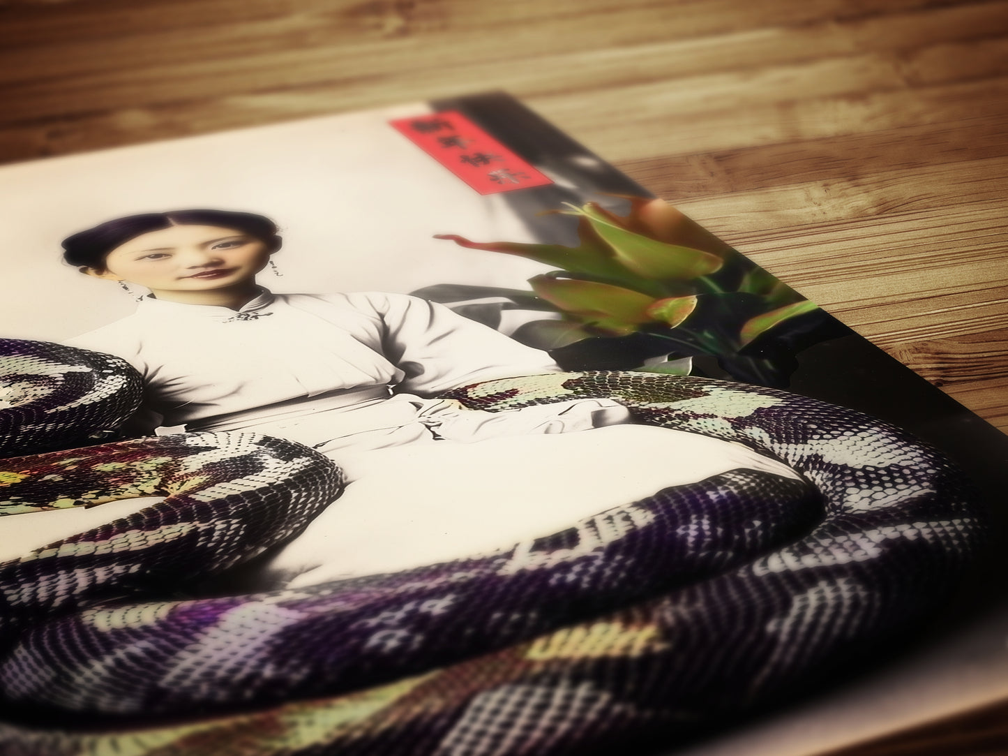 Nagini, Year of the Snake Art Print – Vintage Asian-Inspired Wall Decor, Serpent Princess Goddess Artwork, Weird Dark Academia Gothic Poster